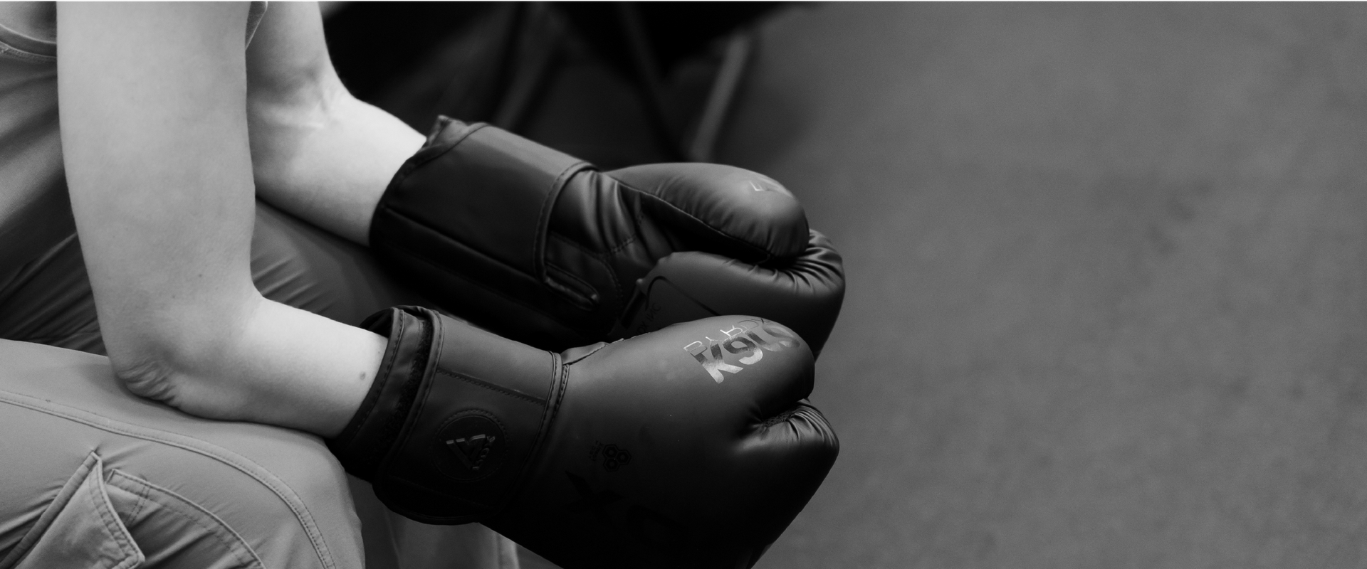 kickboxing gloves